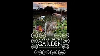 A Year in the Garden. British Birds & Wildlife. Award Winning short film.