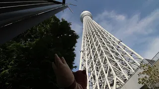 Furret and Tokyo Skytree having an intense staring contest for about 3 minutes.