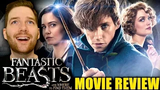 Fantastic Beasts and Where to Find Them - Movie Review