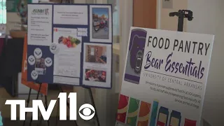 Arkansas colleges work to prevent food insecurity