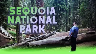Путешествие в Парк Секвоя - Калифорния | Sequoia National Park