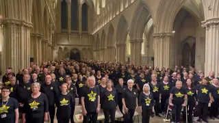 Shallow by Rock Choir Wiltshire & Somerset