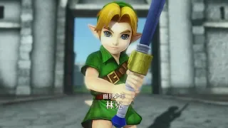 Hyrule Warriors (Nintendo Switch) - Young Link