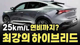 저렴한 가격에 25.5km 미친연비부터 PHEV까지? 최강의 하이브리드로 불리는 "이 SUV"의 깜짝 등장에 국내 소비자 발칵 뒤집힌 이유