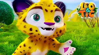 Leo and Tig - Best episodes - Good Animated Movies - baby leopard and tiger - Moolt Kids Toons