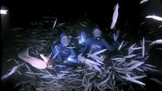 Jean-Michel Cousteau's Secret Ocean - Official Trailer