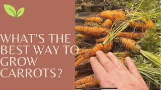 The best system for hydroponic carrots?