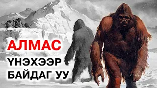 "Алмас" бодит амьдрал дээр үнэхээр байдаг уу...🦍