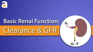 Basic Renal Function: Clearance and GFR