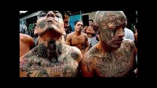 Amazing Documentary HD Girls In Gangs Female Gangbangers Crime 2015