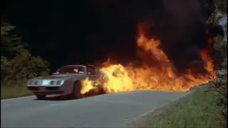 '80 Trans Am in  Dukes of Hazzard knockoff