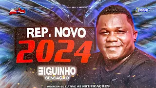 BIGUINHO SENSAÇÃO 2024 -BIGUINHO SERESTA 2024 MÚSICAS NOVAS- ARROCHA BIGUINHO 2024 #biguinhosensacao