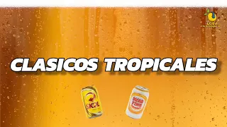 CLASICOS TROPICALES ❌️  CACHACA - JAUMINA