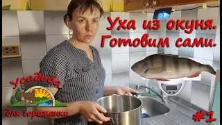 Уха из окуня. Готовим сами. #1