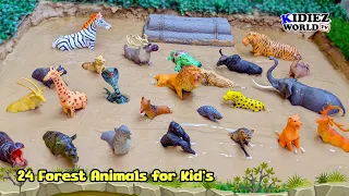 24 Forest Animals Adventure in Mud! Zebra, Lioness, Black Bear 🦁🐘🐍 | Kidiez World TV