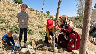 From Plaster to Fence: A Day in the Life of a Single Mother and Her Kids