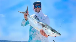 RECORD Sized Cero Mackerel in South Florida | Poke Bowl CATCH CLEAN COOK