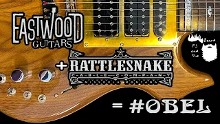 A Rattlesnake, Tiger and OBEL Oh My! - The Shakedown Sound Series