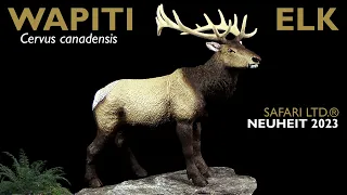 Safari Ltd. ® Elk / Wapiti - Cervus canadensis - Wild Wildlife Review