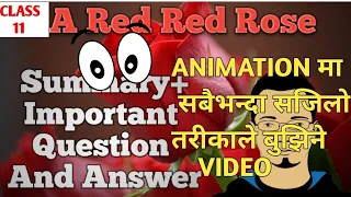 A Red Red Rose Class 11 Poem Summary in Nepali ( Picture and in Video Form)