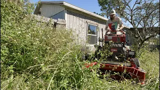 I KNOCKED on EVERY NEIGHBORS doors to see WHY this yard was SO NEGLECTED!!