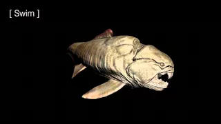 Dunkleosteus animation