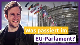 Ein Tag im Leben eines EU-Abgeordneten | mit MdEP Damian Boeselager
