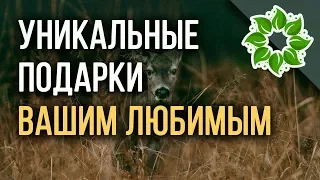 Поздравления С Днем Рождения Невестке - красивые поздравления с днем рождения невестке от свекрови