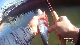 Fly fishing. Днестр , Vadul lui Voda... Ловим на нимфу с индикатором поклёвки .