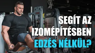 Kreatin: Jellemzők, előnyök, adagolás, mítoszok és tények I Krisztian Bereczki l GymBeam