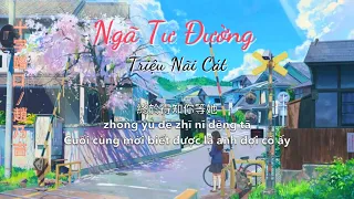 [Vietsub] Ngã tư đường - Triệu Nại Cát || 十字路口 - 趙乃吉