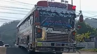 Bus Salvadoreño Ruta 6 CAMILA D3  V2