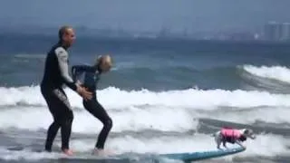 Собачий сёрфинг.