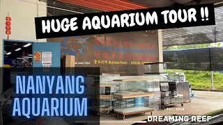 Nanyang Aquarium !!! (LOTS OF FRESHWATER FISHES !!!)