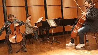 J. Haydn - Concerto for cello D- dur. 1st movement