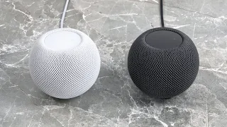 HomePod mini nach 5 Monaten (Langzeit-Review) | Wie gut ist er wirklich?