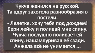 Русская Жена Чукчи Захотела Разнообразия в Постели! Сборник Самых Свежих Анекдотов! Юмор!