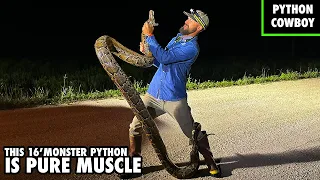 Will The Burmese Python Problem In The Florida Everglades Ever Be Resolved