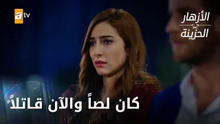 سعد الله من مجرم إلى لص! الحلقة 175 - الأزهار الحزينة