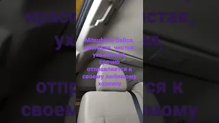 Mitsubishi Delica идеальное состояние после химчистки экстрактором Santoemma Sabrina