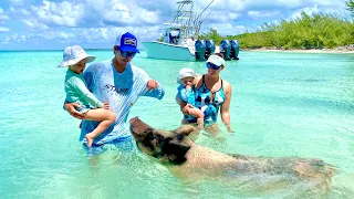 *MASSIVE BAHAMAS PIGS*  - Swimming with Pigs, Turtles, and Stingrays in Eleuthera