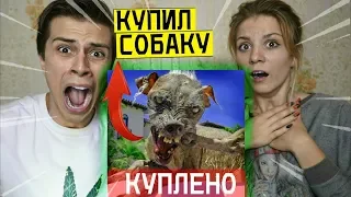 Я КУПИЛ ЖУТКУЮ ЖИВУЮ СОБАКУ С ДАРКНЕТ И ЭТО НОРМАЛЬНО (СТРАШНО)