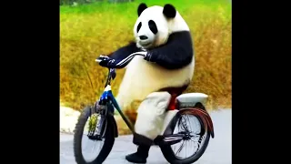 Panda Riding a Bicycle