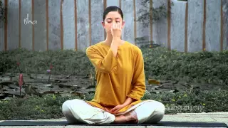 Learn Free Yoga- Invest 5 minutes for Well-Being