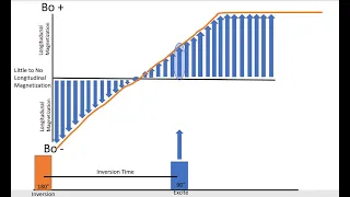 Inversion Recovery Discussion