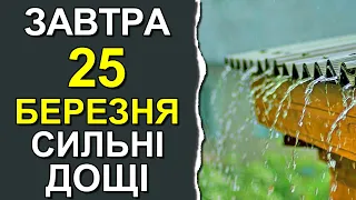 ПОГОДА НА ЗАВТРА: 25 БЕРЕЗНЯ 2023 | Точна погода на день в Україні