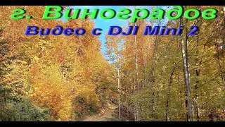 Усадьба на въезде в Виноградов в Закарпатье. Украина пешком. Интересные места Украины с DJI MINI 2