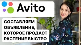 🪴ЗАРАБАТЫВАЕМ НА ПРОДАЖЕ РАСТЕНИ, ЛЕГКО И БЫСТРО СОСТАВЛЯЕМ ЭФФЕКТИВНОЕ ОБЪЯВЛЕНИЕ НА АВИТО