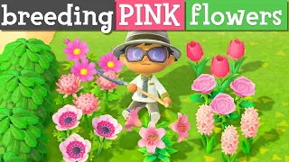 QUICK ways to get PINK flowers in Animal Crossing
