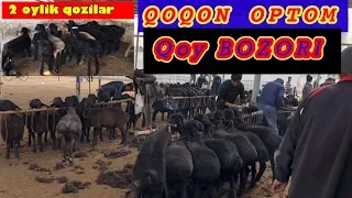 ОПТОМ Кой ОЛАМАН деганлар учун QOQON optom QOY bozori